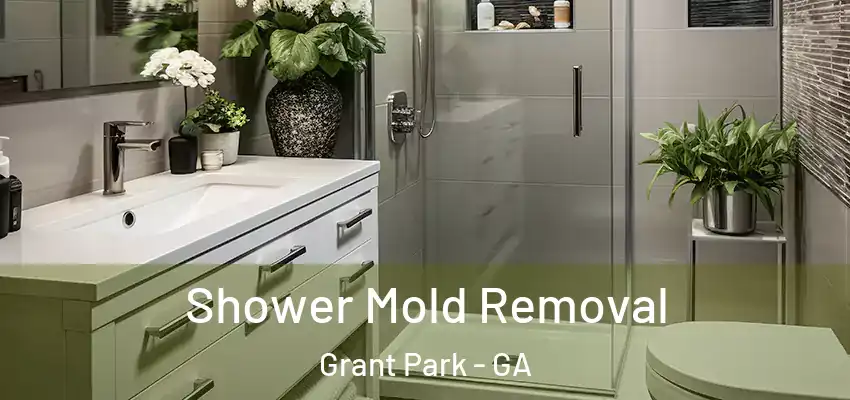  Shower Mold Removal Grant Park - GA