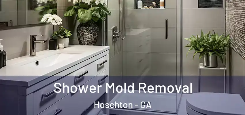 Shower Mold Removal Hoschton - GA