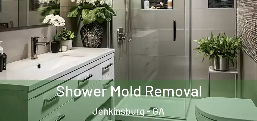 Shower Mold Removal Jenkinsburg - GA