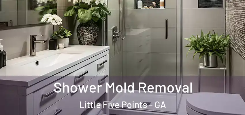 Shower Mold Removal Little Five Points - GA