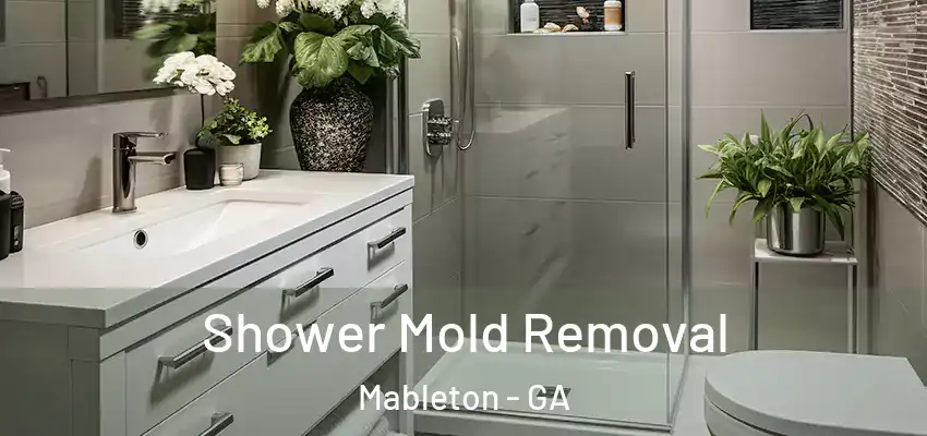 Shower Mold Removal Mableton - GA