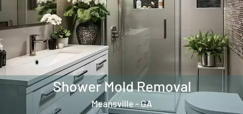 Shower Mold Removal Meansville - GA