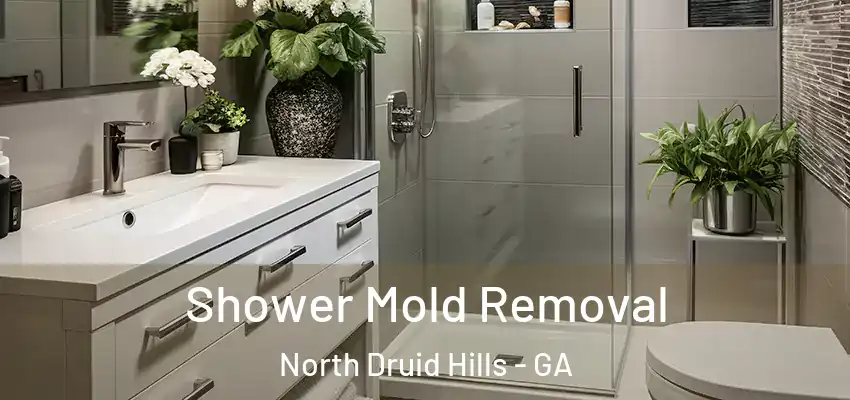 Shower Mold Removal North Druid Hills - GA