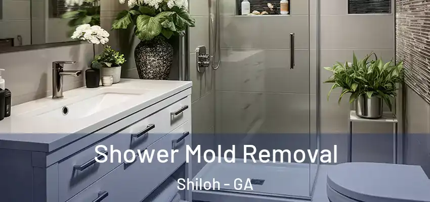 Shower Mold Removal Shiloh - GA