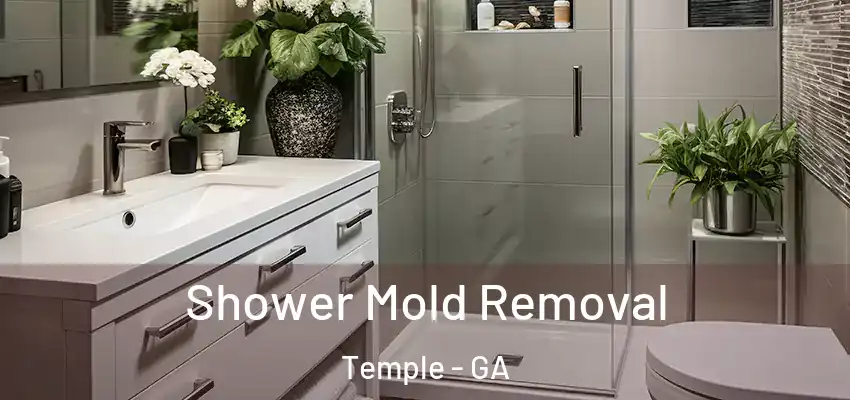 Shower Mold Removal Temple - GA