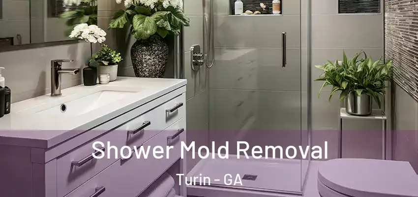  Shower Mold Removal Turin - GA